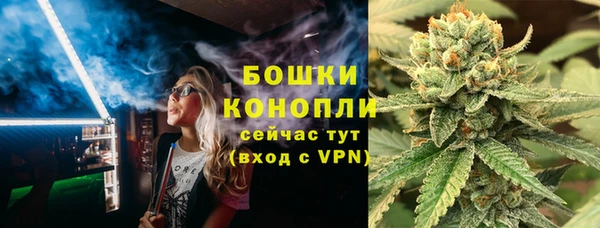 сатива Гусь-Хрустальный
