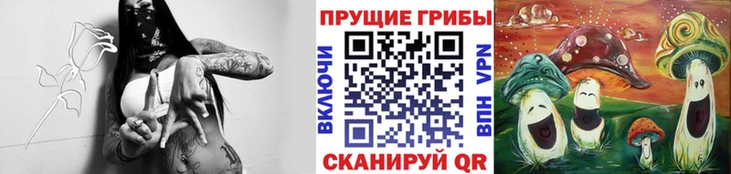 Галлюциногенные грибы GOLDEN TEACHER  мега ссылка  Бабушкин  продажа наркотиков 